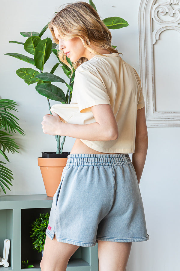 WASHED DESTINATION EMBROIDERED MINI TERRY SHORT
