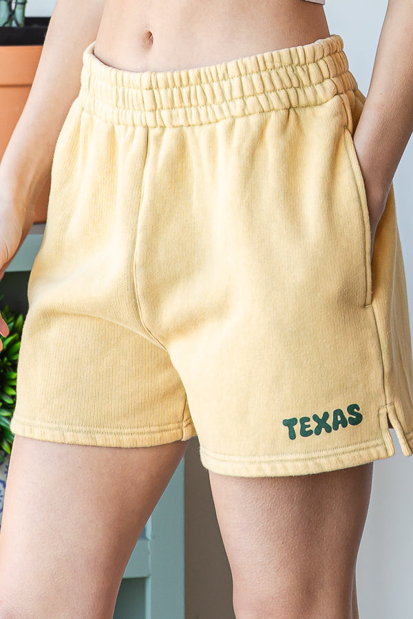 WASHED DESTINATION EMBROIDERED MINI TERRY SHORT